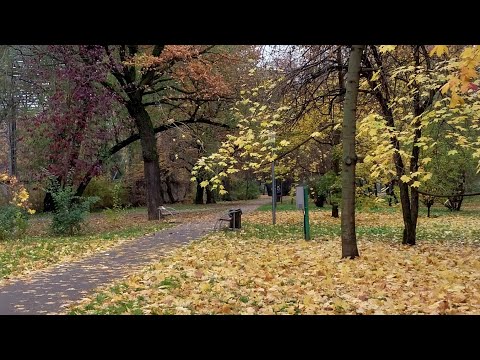 Видео: Прогулка 19 октября по Перовскому парку