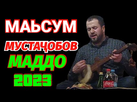 Видео: Маьсум Мустачобов 2023 Маддо Москва