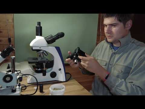 Видео: Съёмка через микроскоп - Фотоаппарат