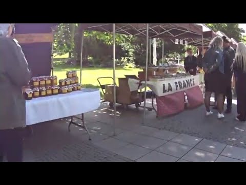 Видео: ПРОГУЛКА ПО ЧЕХИИ. МАРИАНСКИЕ ЛАЗНИ