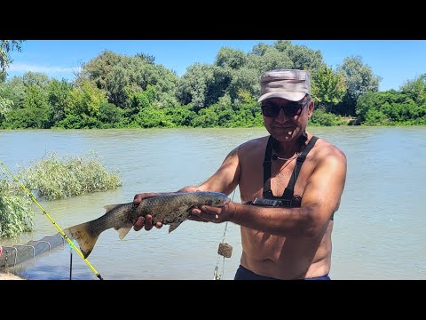 Видео: Рыбалка на Кубани. Ч2. Если правильно шаманить ...