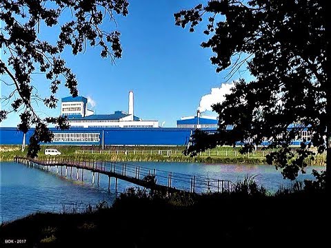 Видео: Грибановский сахарный завод. 170 лет "сладкой" жизни. 2017
