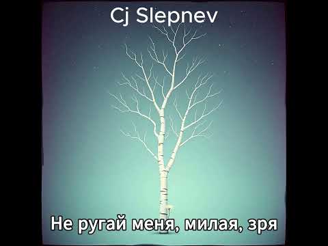 Видео: Cj Slepnev - Не ругай меня, милая, зря