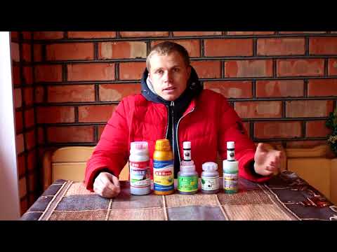 Видео: "Препараты от заморозков". Криопротекторы для винограда.Часть 1.