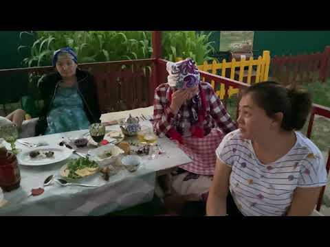 Видео: Мақсаттың үйінде Шалқарлықтар! (11.07.2020)