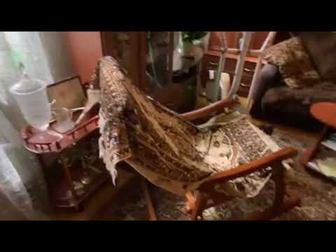 Видео: Санкт-Петербург, Василеостровский район, 6-я линия Васильевского острова, дом 53