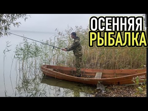 Видео: Едем с друзьями на рыбалку из ВИТЕБСКА на озеро ЕЗЕРИЩЕ