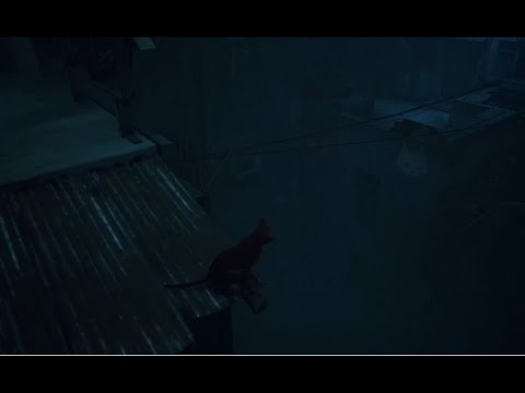 Видео: Кот авантюрист| Серия 2|Stray