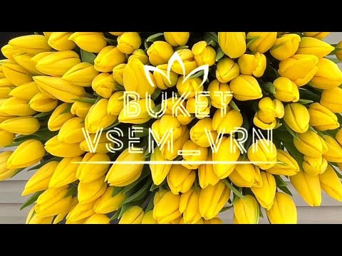 Видео: Обратная связь от Юрия Павловича по луковицам в этом сезоне 🧅🌱🌷💐