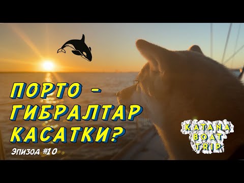 Видео: Порто - Гибралтар | Эпизод #10 | Касатки?