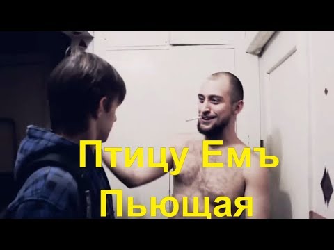 Видео: Птицу Емъ - Пьющая (Клип, 2013)
