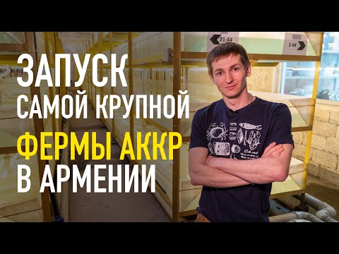 Видео: Самая крупная ферма АККР в Армении. Запуск, консультация и полное сопровождение.