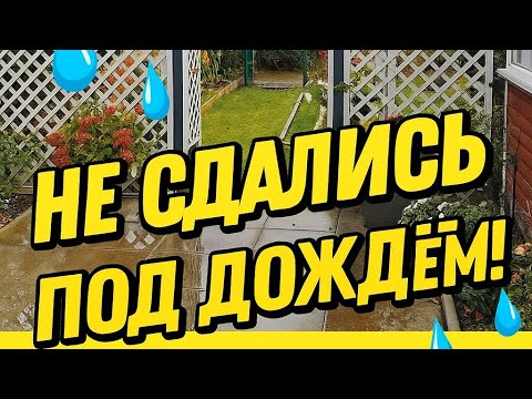 Видео: Дача на севере Германии /Субботник обрезка, чистка бассейна. 