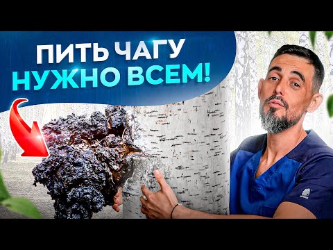 Видео: 23 причины начать пить березовую Чагу. Поразительный эффект!