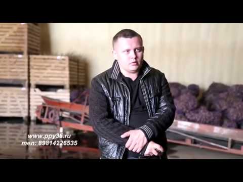 Видео: ОТЗЫВ О ТИПАХ КОМПОНЕНТОВ И ВИДАХ ОБОРУДОВАНИЯ ДЛЯ НАПЫЛЕНИЯ ПЕНОПОЛИУРЕТАНА ППУ