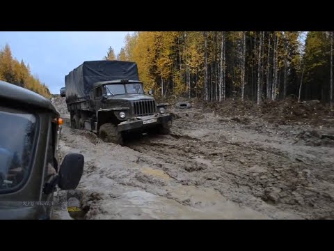 Видео: SnowRunner  MOZA  R5 +TSW  КПП  ZSHIFTER