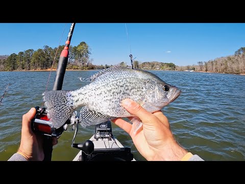 Видео: Ловля сома за деньги на реке Теннесси — Nickajack | WindOne E2