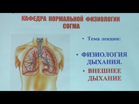 Видео: Часть 1. ФИЗИОЛОГИЯ ДЫХАНИЯ. • ВНЕШНЕЕ ДЫХАНИЕ .