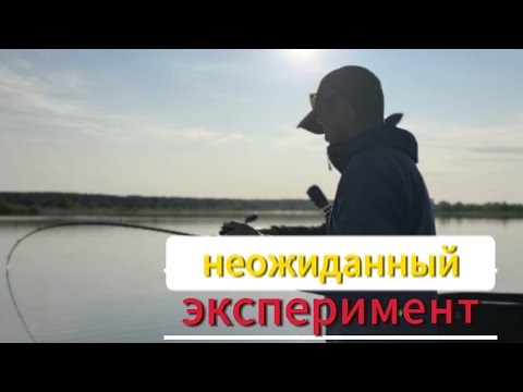 Видео: Неожиданный, но удачный эксперимент.