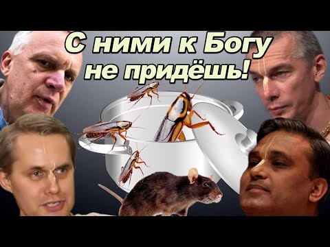 Видео: За кулисами кришнаитского Центра. Строительство индийского храма в Москве.