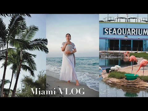 Видео: VLOG | Спілкуємося про Америку, святкуємо нашу 4-ту річницю в Маямі