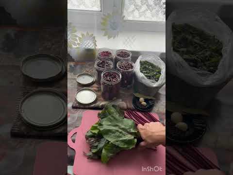 Видео: Заготовка свекольной ботвы в прок #свекла #ботва #заготовка #впрок #дача