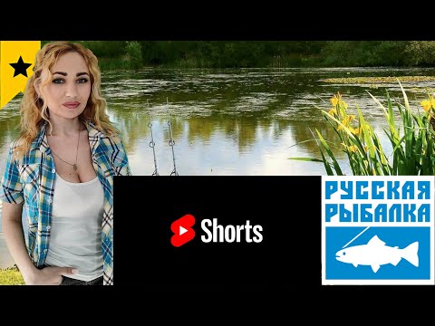 Видео: Отдыхаем на рыбалочке)) Девушка стримит РР4:))shorts стрим.