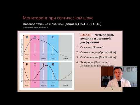 Видео: Гемодинамический мониторинг при сепсисе Кузьков В В