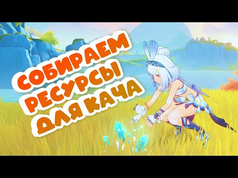 Видео: СОБИРАЕМ РЕСУРСЫ ДЛЯ ПРОКАЧКИ • Genshin Impact ✨ серия #157