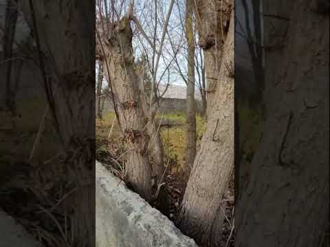 Видео: 3 серия 50 лет спустя 10 11 2023