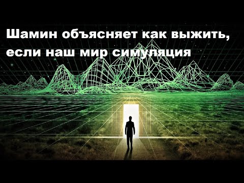 Видео: Шамин объясняет как выжить, если наш мир симуляция