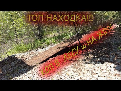Видео: ТОП НАХОДКА! КОП МЕТАЛЛА В ЛЕСУ и НА ЖД! Металлокоп. Quest X5