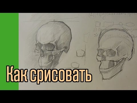 Видео: Как научиться срисовывать