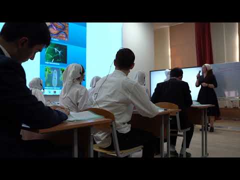 Видео: Урок биологии в 10 м классе на тему  Клеточный цикл интерфаза и деление  Митоз и его значение