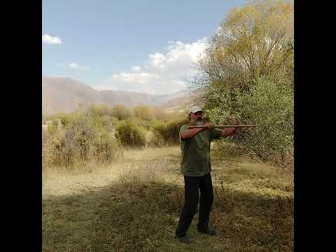 Видео: 14 сентября 2025 г.