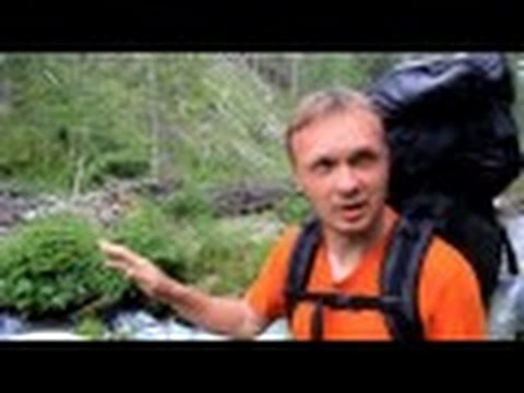 Видео: Планета Тайга. Гора Останцовая хребта Сихотэ Алинь