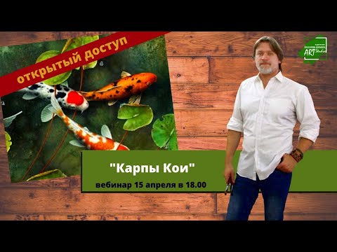Видео: Карпы Кои
