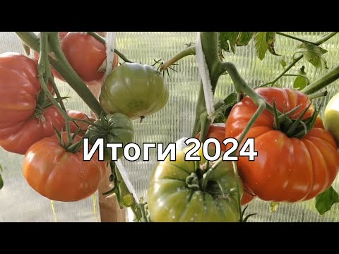 Видео: Итоги сезона 2024 года.