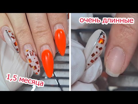 Видео: ❤ РАБОТА -  УЖАС ❤обзор ЛЮБИМЫЙ ВАСИЛЕК ❤ СЛОЖНАЯ работа и КУЧА ОТСЛОЕК ❤ #nails #innamaksimova