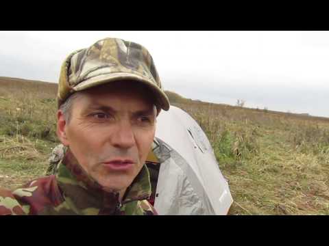 Видео: Охота со спаниелем на уток 5 октября 2017 г.