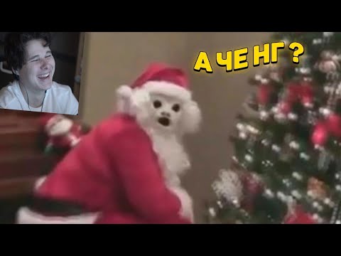 Видео: 9 МИНУТ СМЕХА | ЛУЧШИЕ ПРИКОЛЫ ЯНВАРЬ 2021 ПОПРОБУЙ ЗАСМЕЯТЬСЯ ЧЕЛЛЕНДЖ ЗАСМЕЯЛСЯ ПРОИГРАЛ