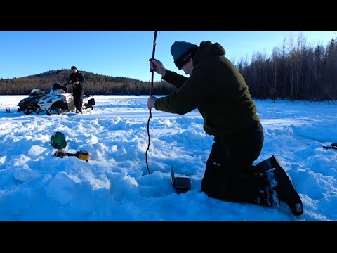 Видео: Будни на Аляске. Подготовка участка для нового дома. Внутренние работы.  Рыбалка на глухом  озере.