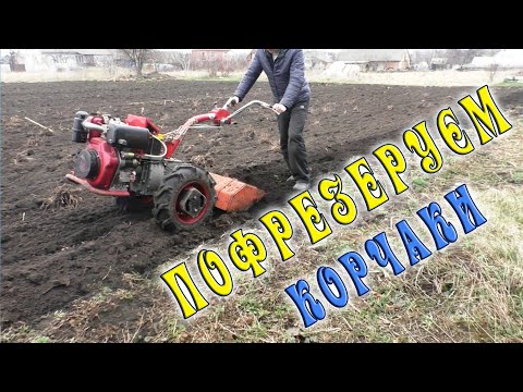 Видео: Фрезування коріння кукурудзи+культивування