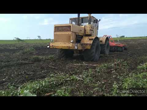 Видео: Лесоповал // Кировец валит лес // Введение залежных земель // БДТ-5ПР