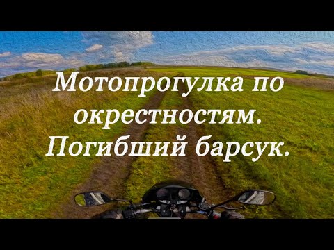 Видео: Безлюдные просторы. Просёлки и поля.