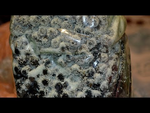 Видео: Наливка из терна иль ликер из него