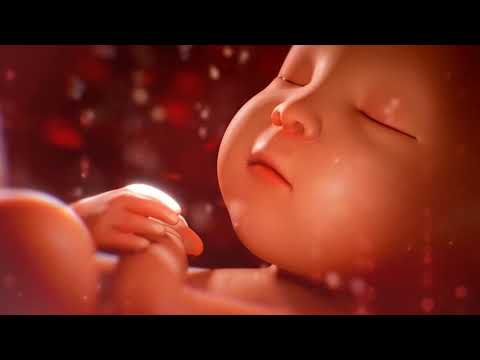 Видео: Как в мамином животике   Звуки в утробе матери   Для успокоения и сна малыша