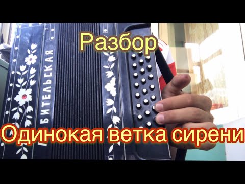 Видео: ОДИНОКАЯ ВЕТКА СИРЕНИ! РАЗБОР НА ГАРМОНИ (для новичков и не только)