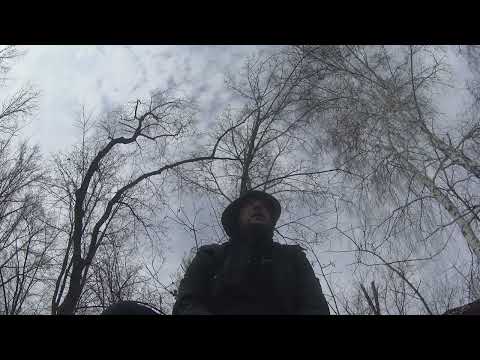 Видео: Скорее всего видос временный