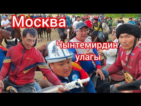 Видео: Чынтемир улагы